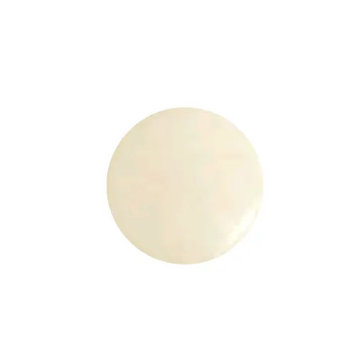 🆕 Emaux-Soyer Opaque Enamel #98 Tinted White