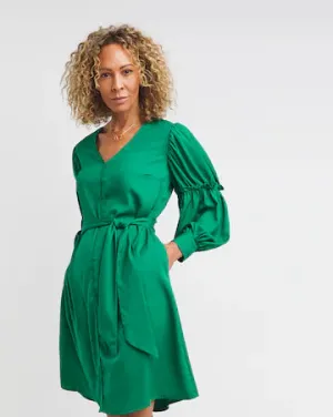 Balloon Frill Sleeve Swing Dress