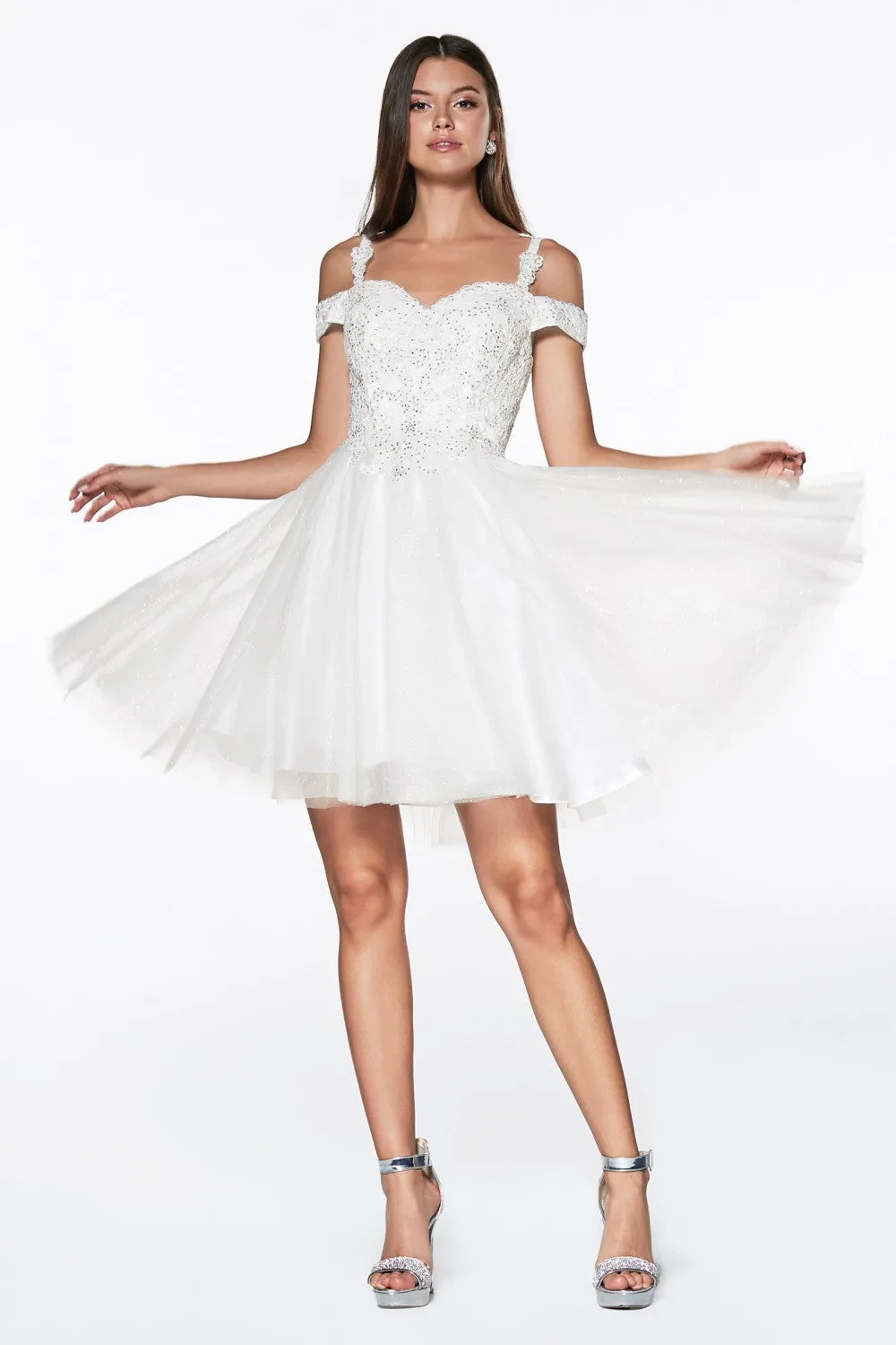 Cinderella Evening Dress CD0132