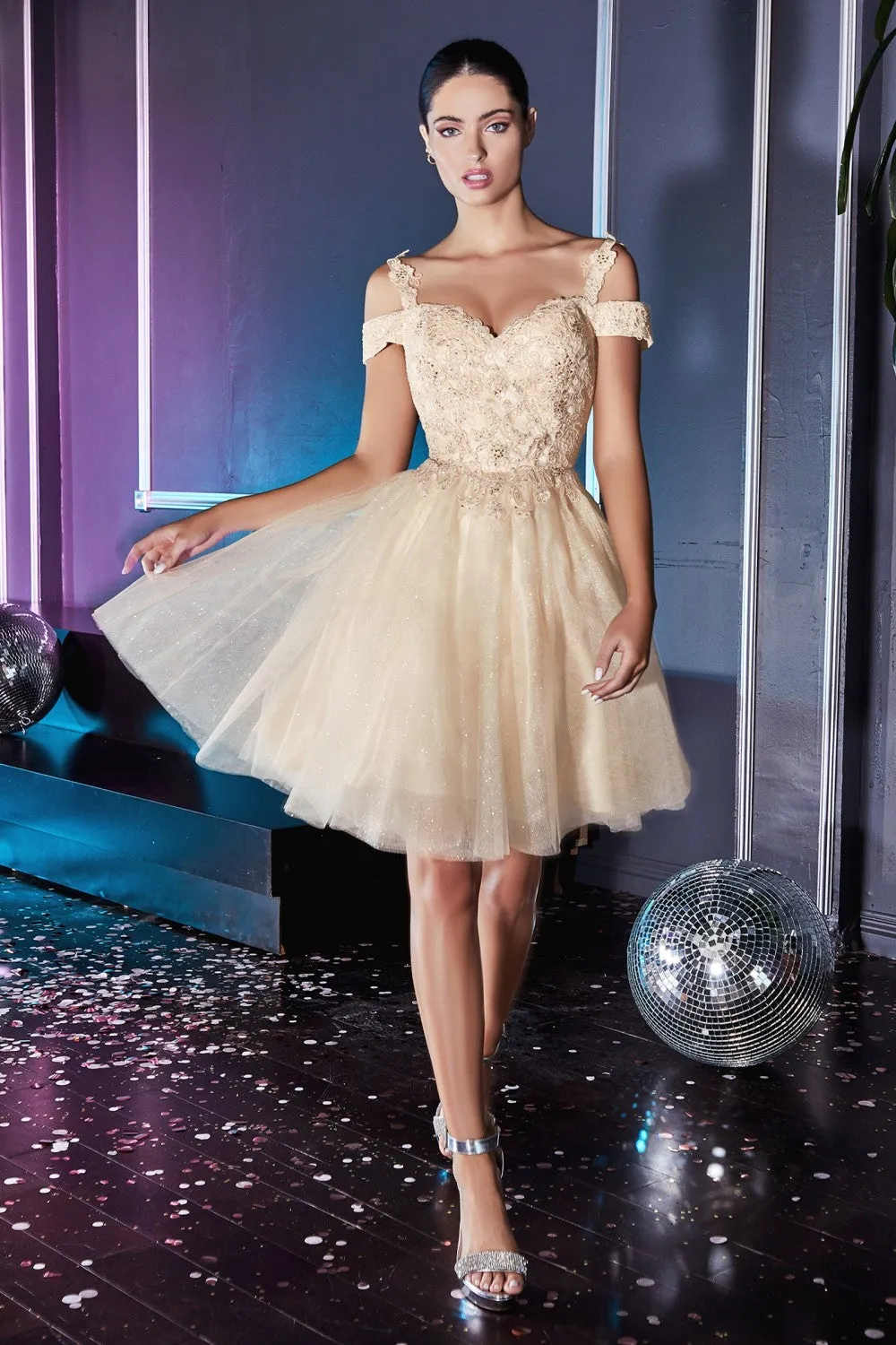 Cinderella Evening Dress CD0132