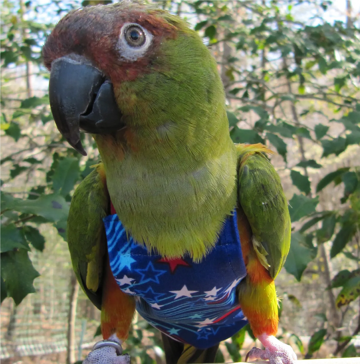 Fireworks FeatherWear FlightSuit™