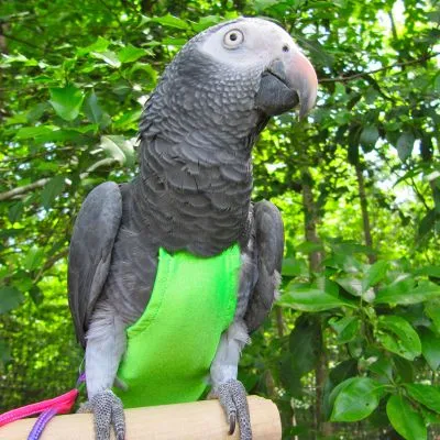 Green FeatherWear FlightSuit™