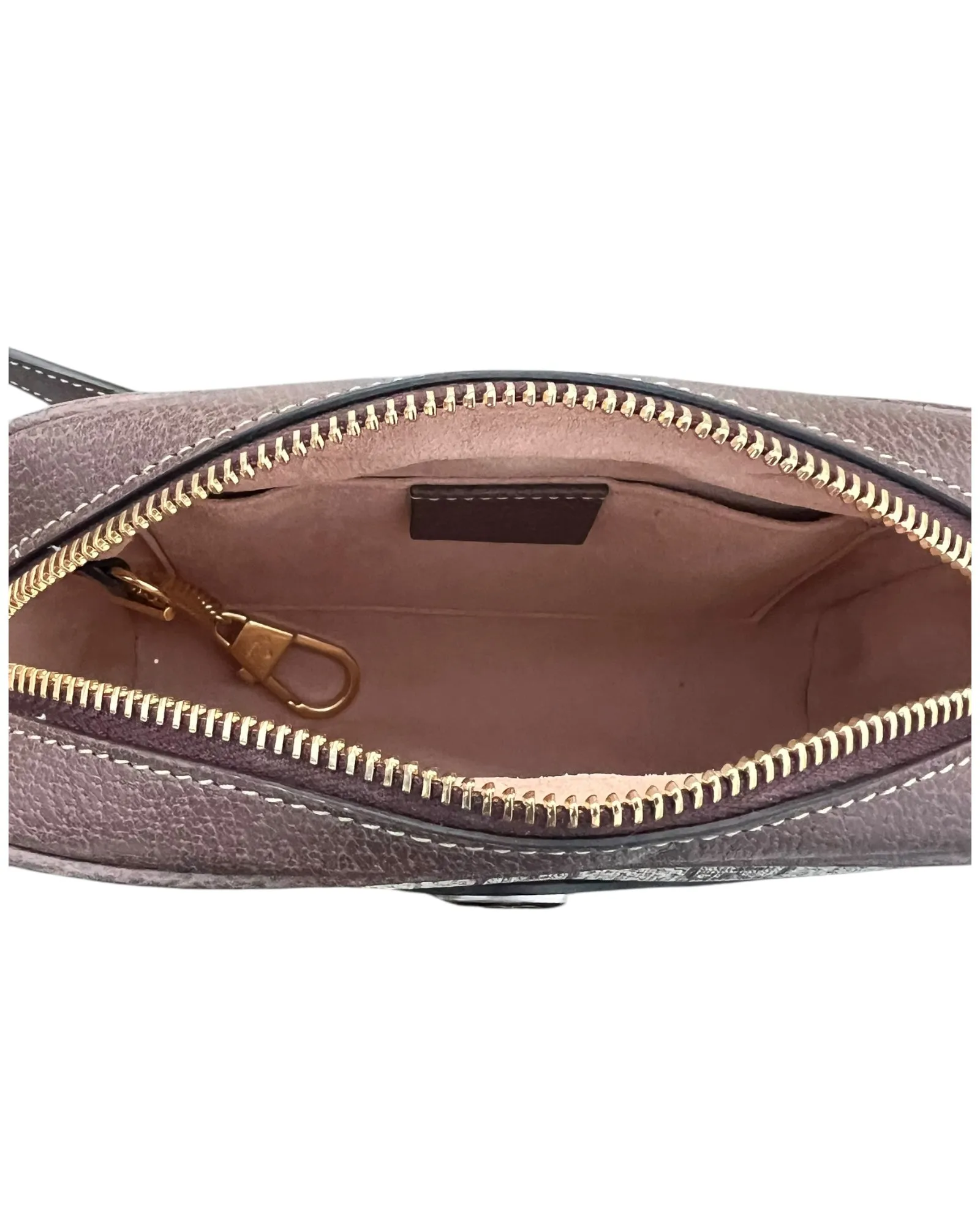 Gucci Ophidia Mini Shoulder Bag