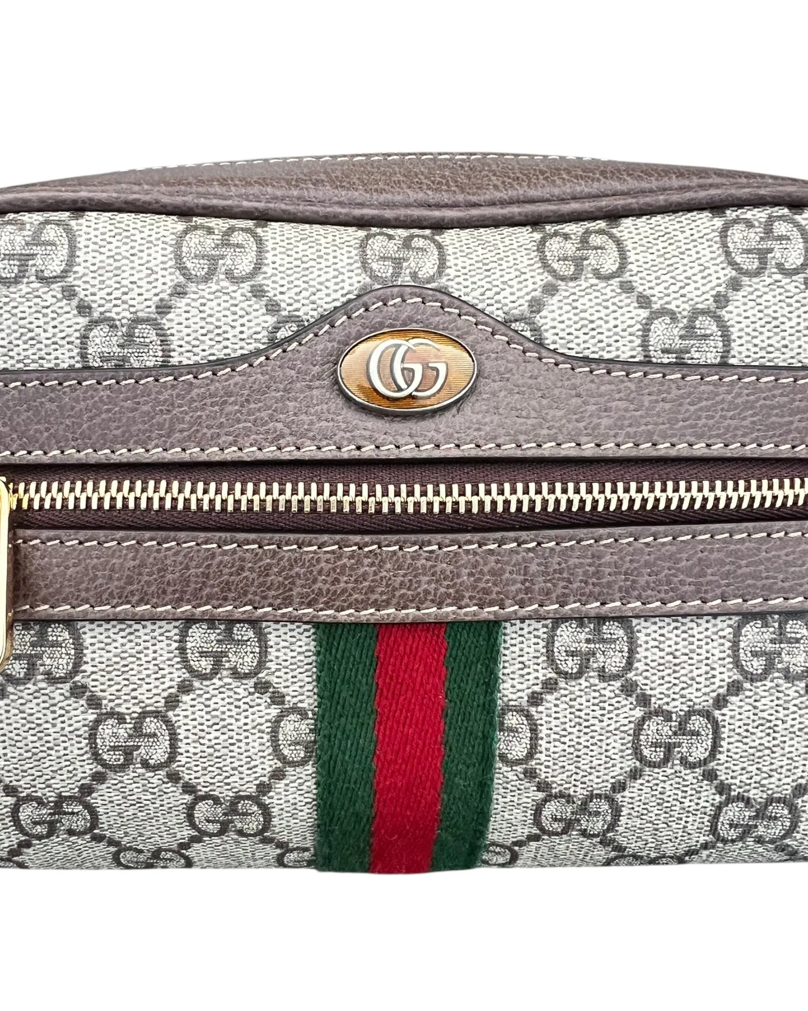 Gucci Ophidia Mini Shoulder Bag
