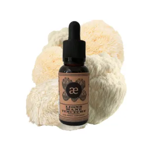 Lion's Mane Tincture