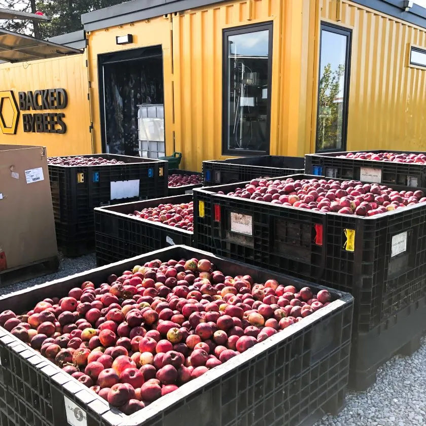 Organic Apple Cider