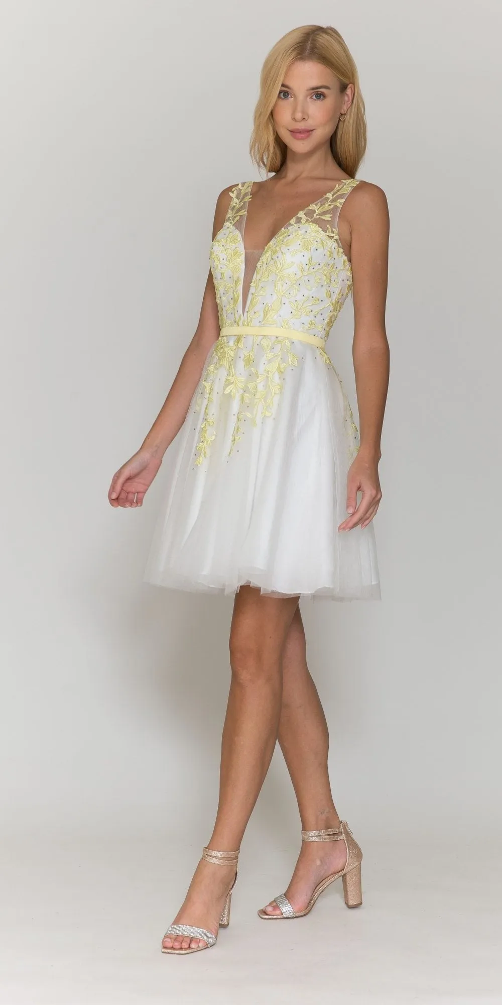 Poly USA 8696 Sleeveless Mesh V-Neck And V-Back Flower Detail Short Dress