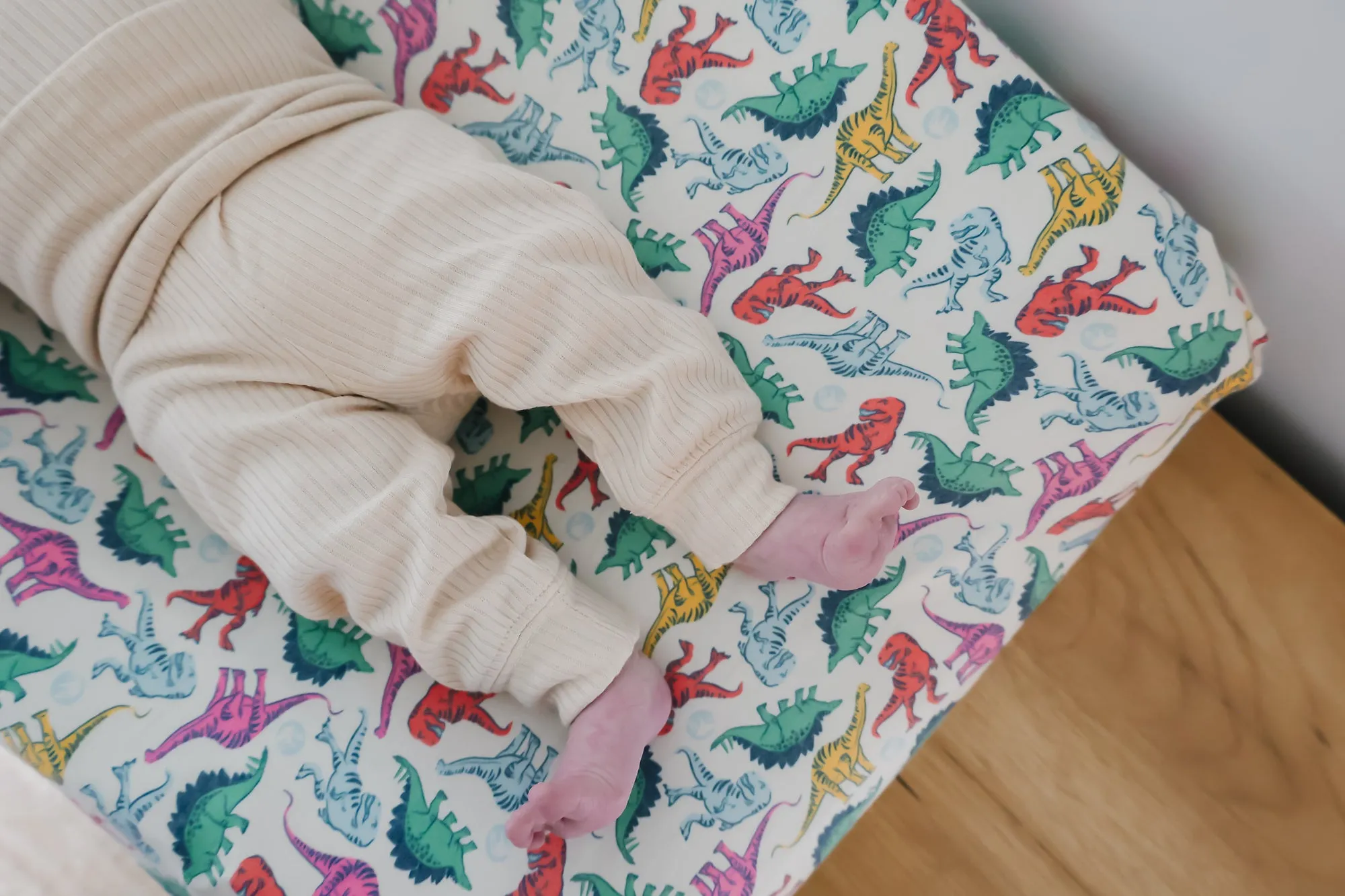 Premium Knit Diaper Changing Pad Cover - Dinosaurs of Jurassic Park