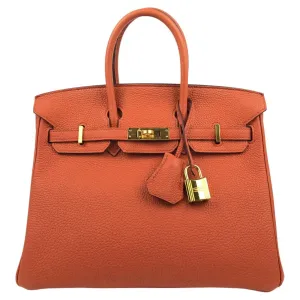 Rare HERMES Birkin 25 Terre Battue Orange Togo Leather Bag