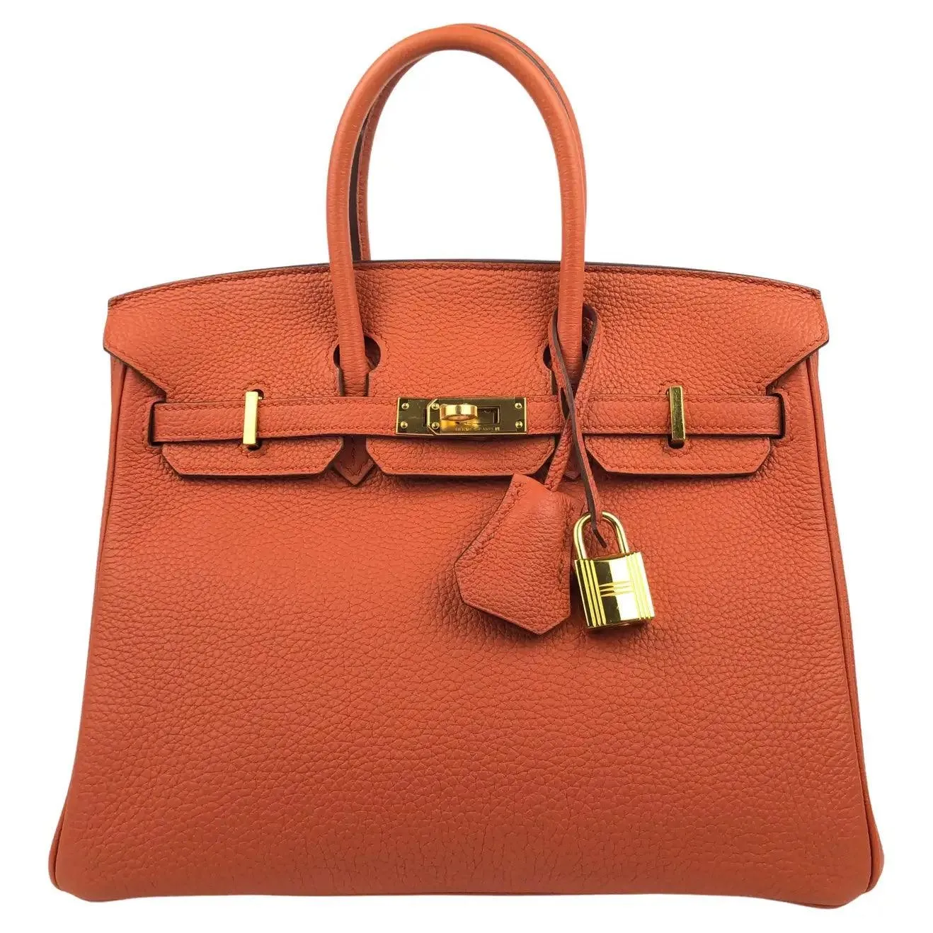 Rare HERMES Birkin 25 Terre Battue Orange Togo Leather Bag