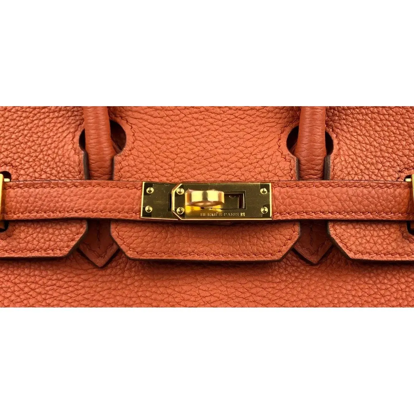 Rare HERMES Birkin 25 Terre Battue Orange Togo Leather Bag