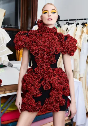 Rose Applique Sculpted Mini Dress