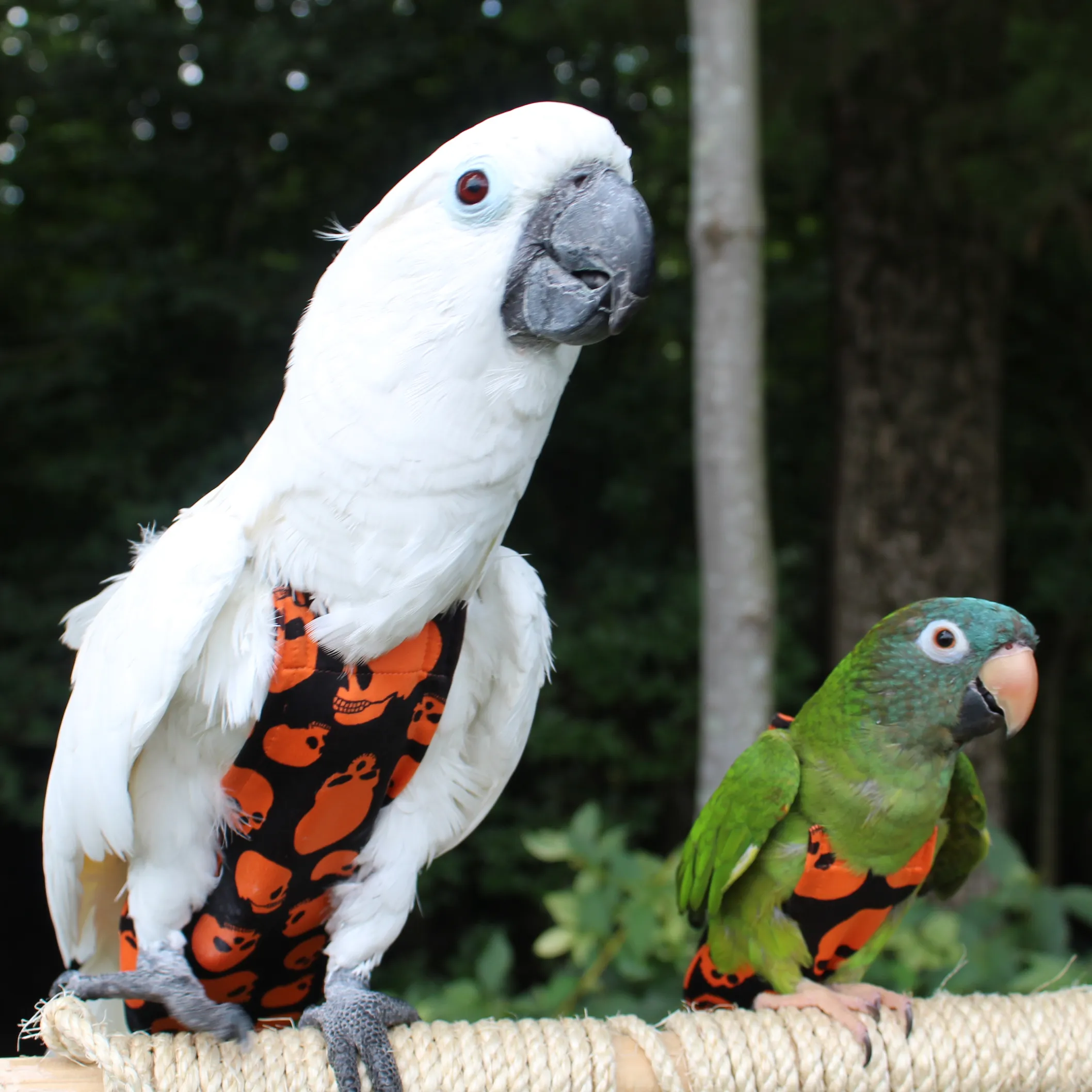 Scary Skulls FeatherWear FlightSuit™