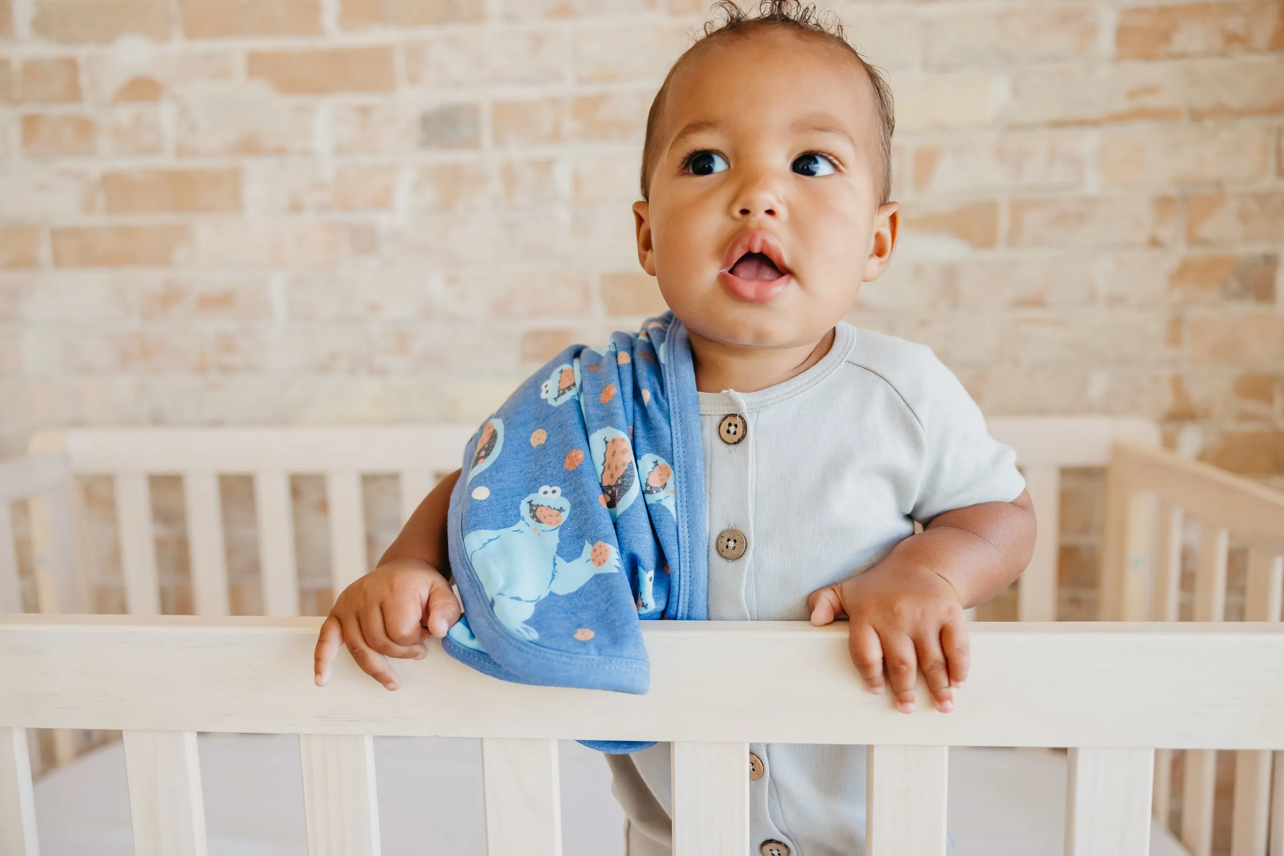 Three-Layer Security Blanket Set - Cookie Monster