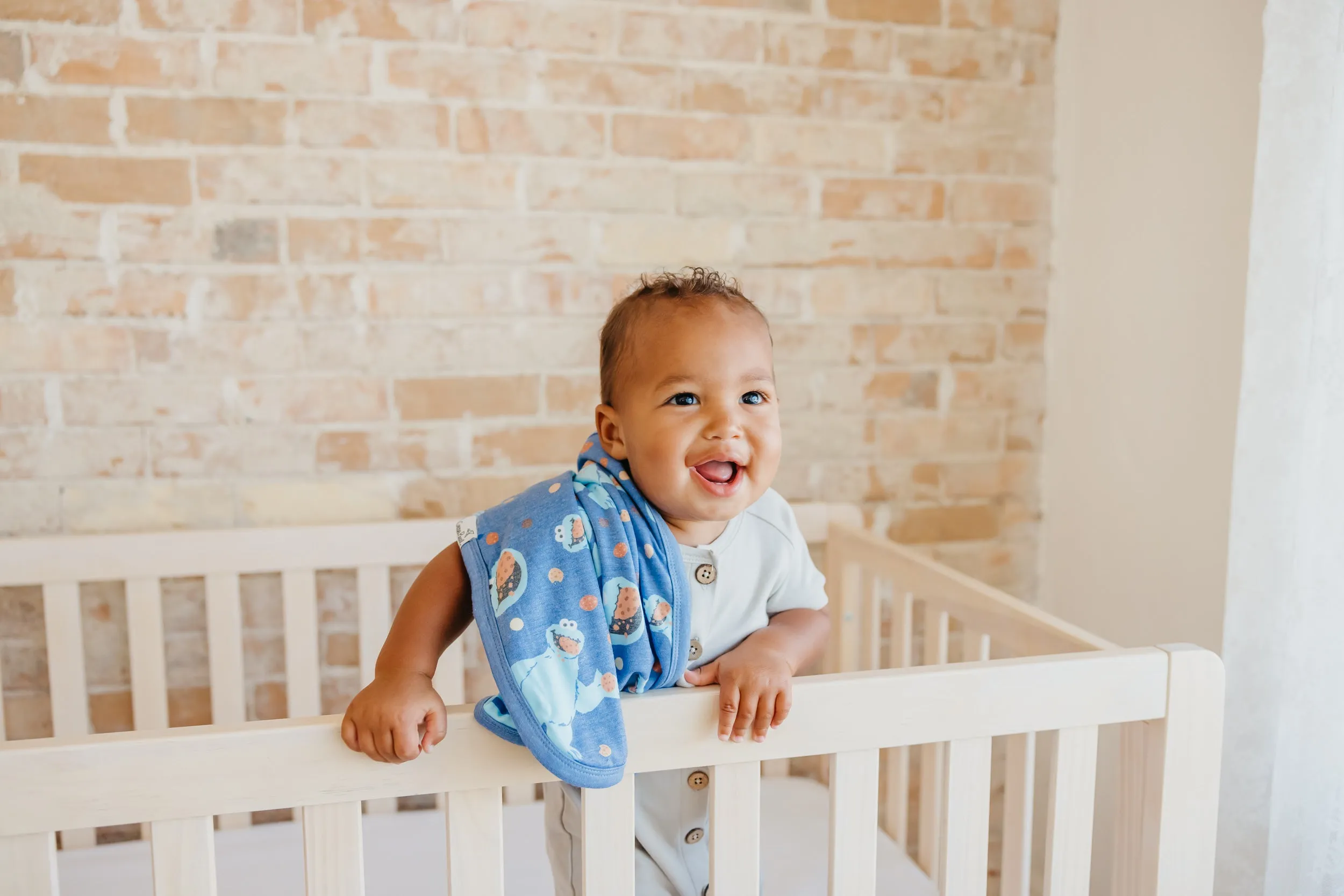 Three-Layer Security Blanket Set - Cookie Monster