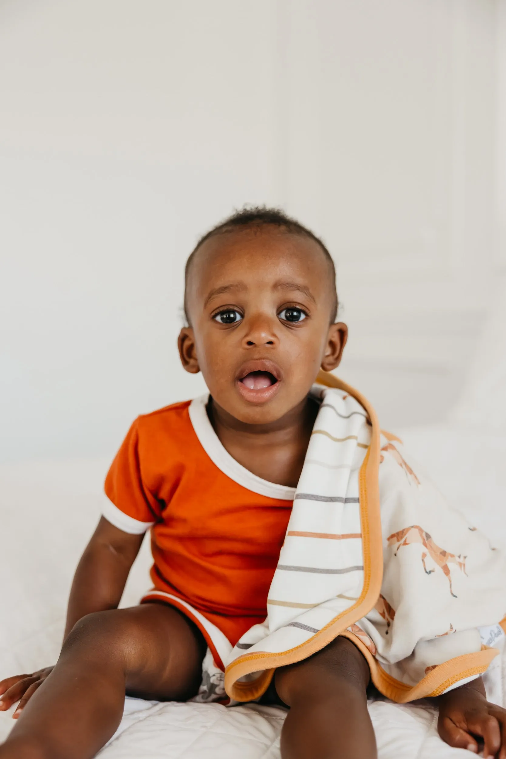 Three-Layer Security Blanket Set - Swift
