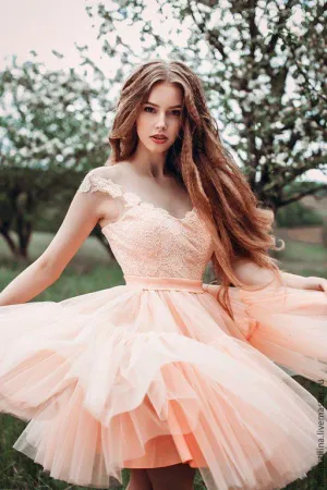 Transparent Neckline Blush Pink Homecoming Dress Lace Tulle Skirt