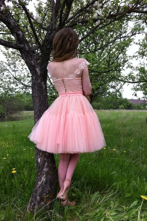 Transparent Neckline Blush Pink Homecoming Dress Lace Tulle Skirt