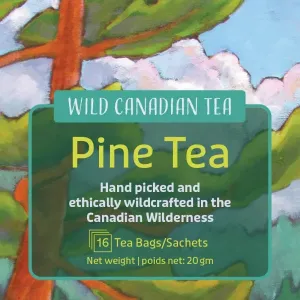 Wild Canadian Tea,  Pine Needle Tea 16 Tea Bags